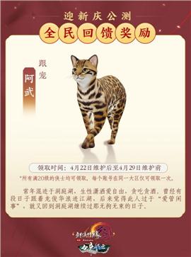 天龙八部私服宝宝伤害